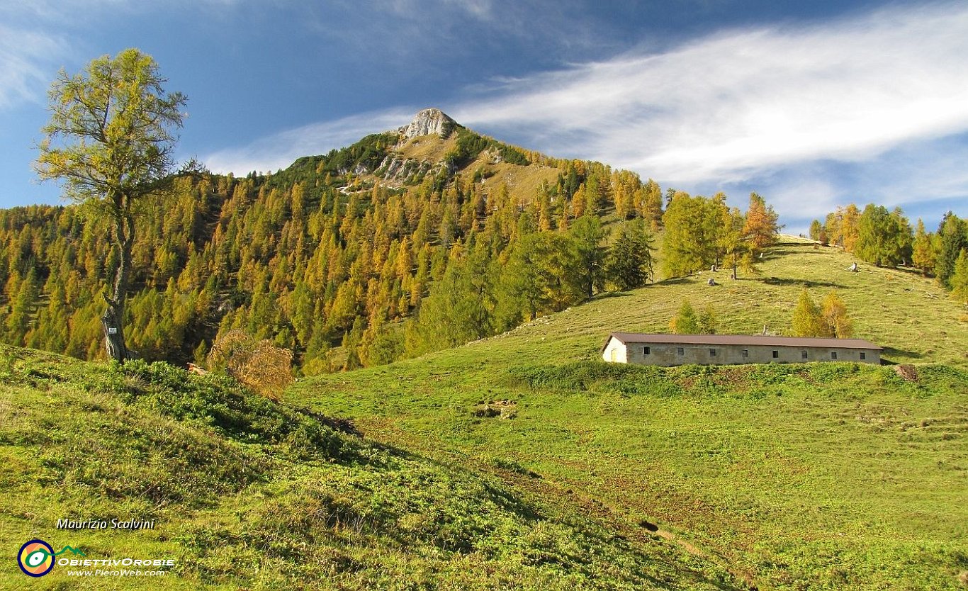 31 Il Pizzo Badile, il sentiero sale nel pascolo dietro la stalla....JPG